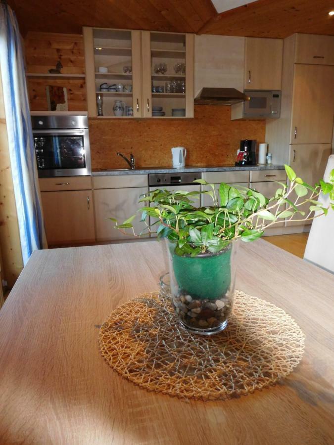 Apartment Aschaber 瓦德林 外观 照片